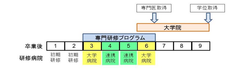 徳島大学泌尿器科専門研修プログラム1