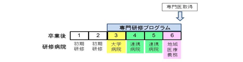 徳島大学泌尿器科専門研修プログラム1