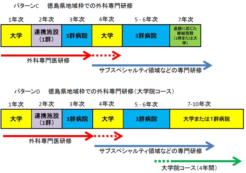 徳島大学外科専門研修プログラムローテーション例(図2)