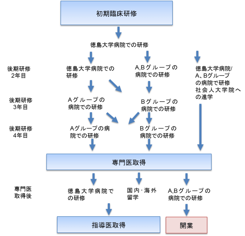 徳島大学病院眼科専門研修プログラムローテーション例(図)