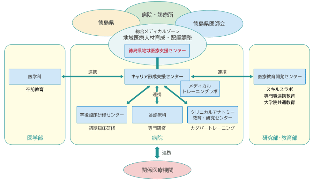 徳島大学における医師のキャリア形成支援組織